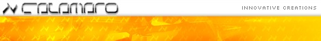 Calamaro Webdesign